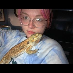 Meet your Posher, Tory